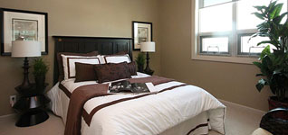 Vetro Picture Viewer