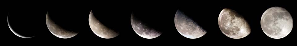 Fully furnished Calgary condo rentals